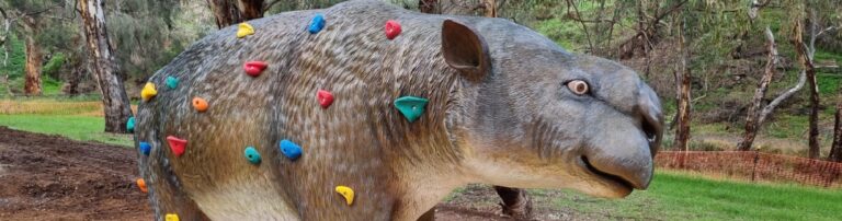 Diprotodon playground Hallet Cove SA - banner