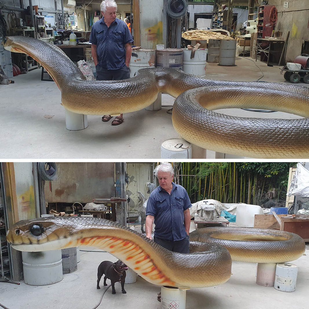 Natureworks Australia Natureworks Brown Snake - 190257Brown - showing completed views with Natureworks owner DAvid Joffe