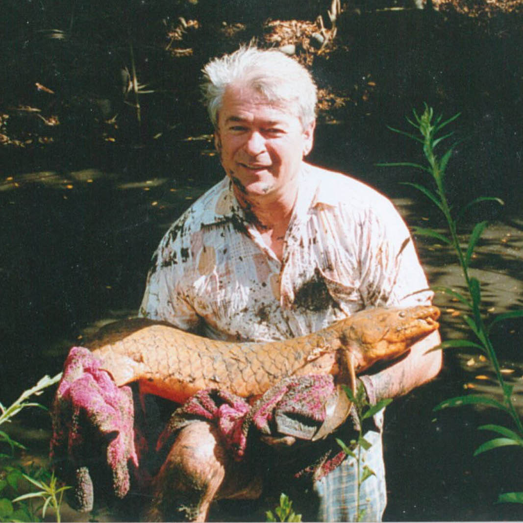 Natureworks Australia David Joffe relocating Lung fish to a saver and deeper habitat