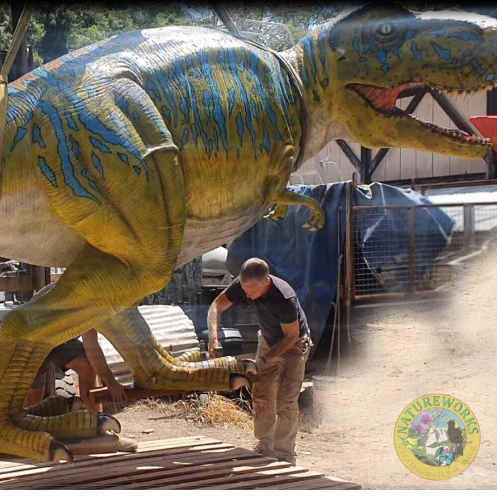 Natureworks Australia T-Rex Dinosaur Walking Large - 110073Green & Blue showing full size view with man