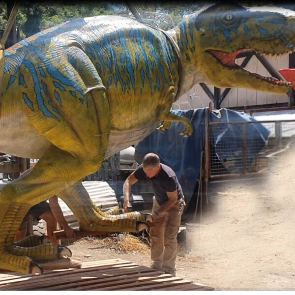 T-Rex Dinosaur Walking Large - 110073Green & Blue showing full size view with man