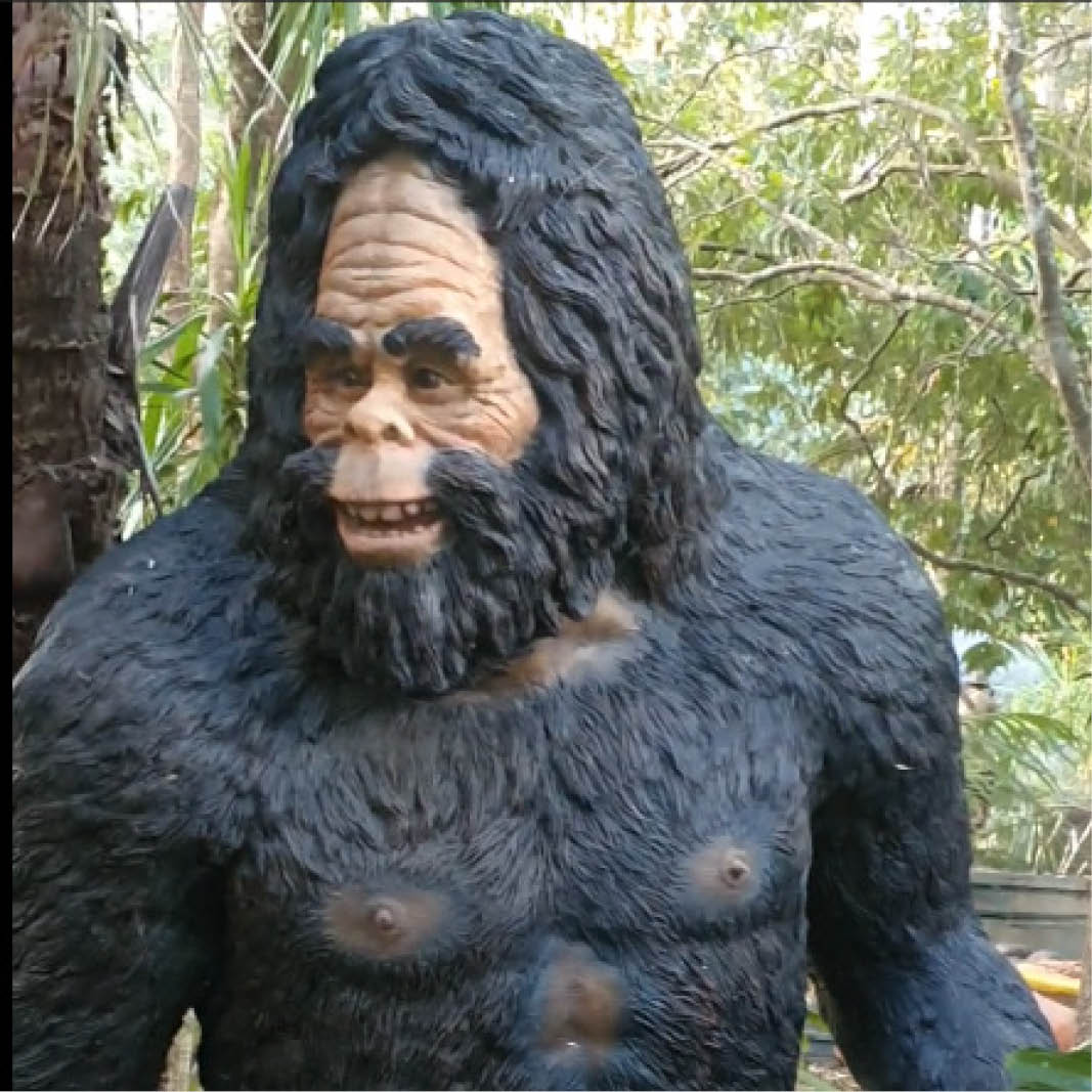 Natureworks Australia Yowie Statue - 2m tall - also known as a Yeti or bigfoot- shown in the bush - close up of head and chest