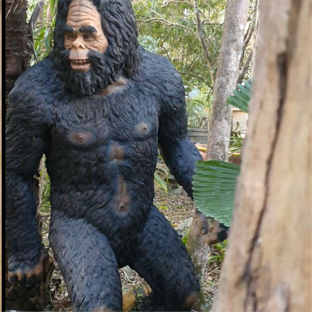 Natureworks Australia Yowie Statue - 2m tall - also known as a Yeti or bigfoot- shown in the bush