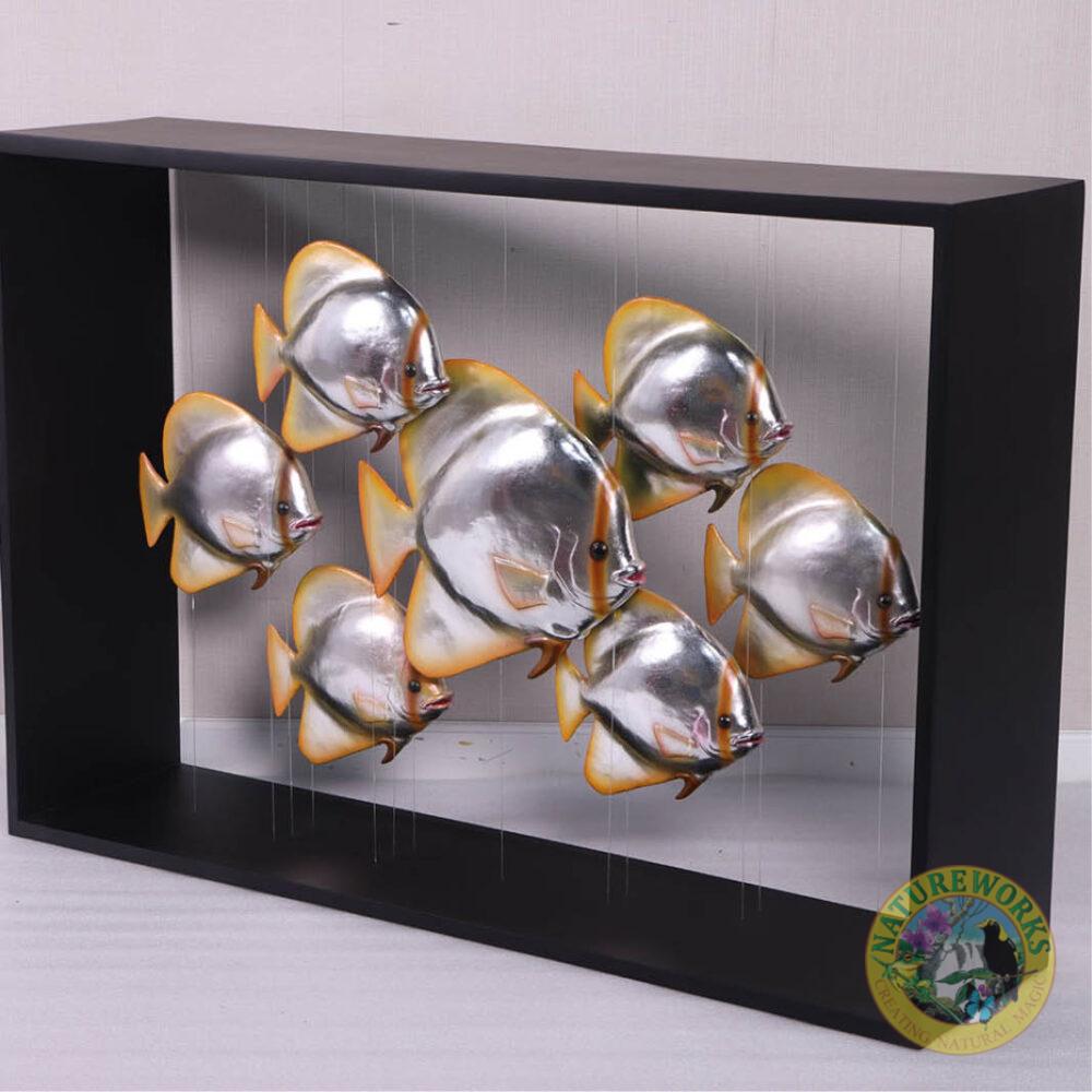 Batfish console - 240137 - showing front angle view