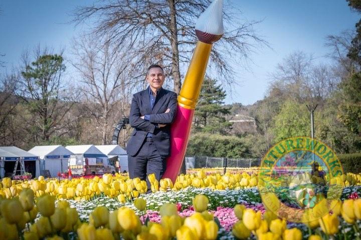 Natureworks Australia Giant Paintbrush - Image 11