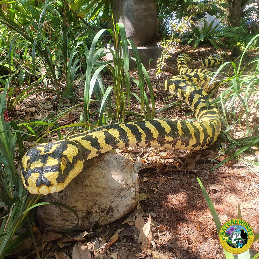 Natureworks Australia Jungle Python Snake - 6.4 metres long - black and yellow painted version. - Shown outside at Natureworks - showing entire snake length