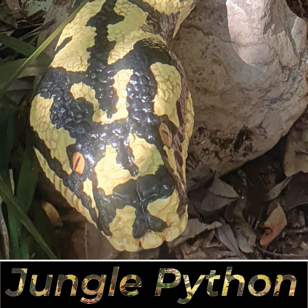 Snakes Sculpture & Statue - Natureworks Australia