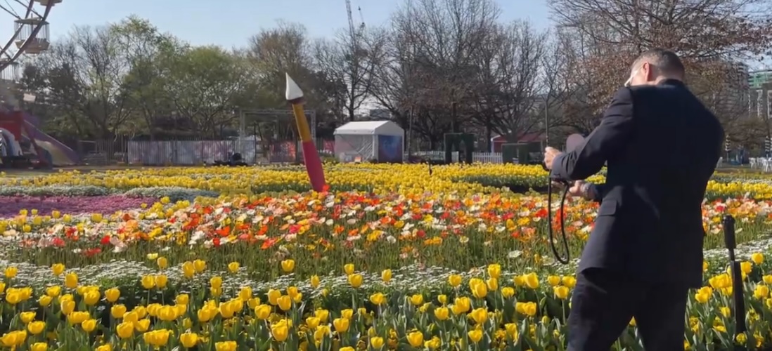 Natureworks Australia Giant Paintbrush - Image 9