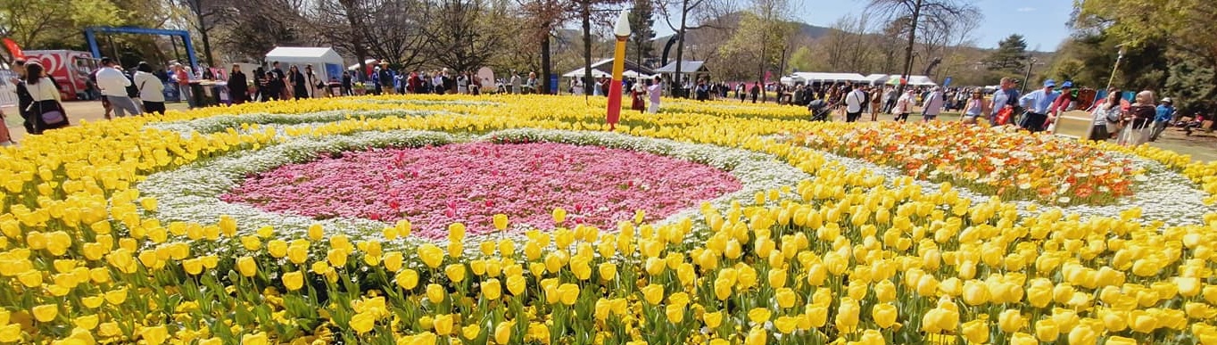 Natureworks Australia Giant Paintbrush sculpture in distance, surrounded by flowers