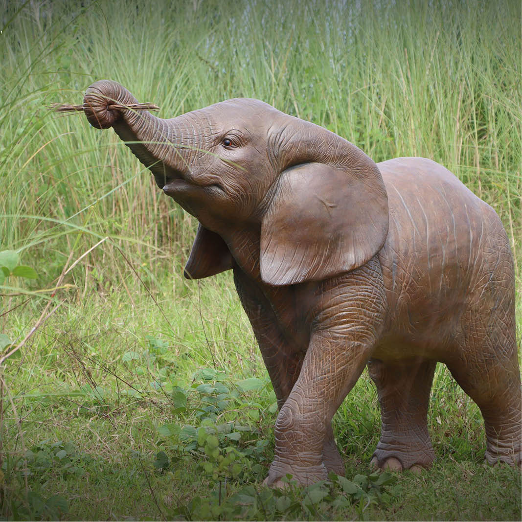 Natureworks Australia Elephant Calf Walking - African - Image 4