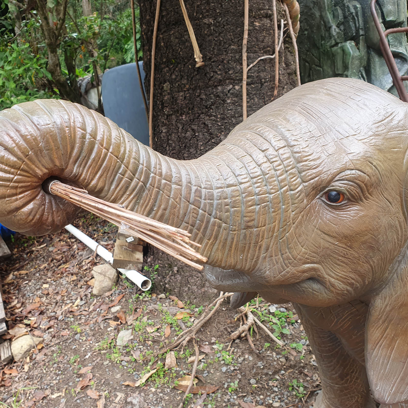 Natureworks Australia Natureworks Elephant Calf Walking with trunk up 240138- close up of head