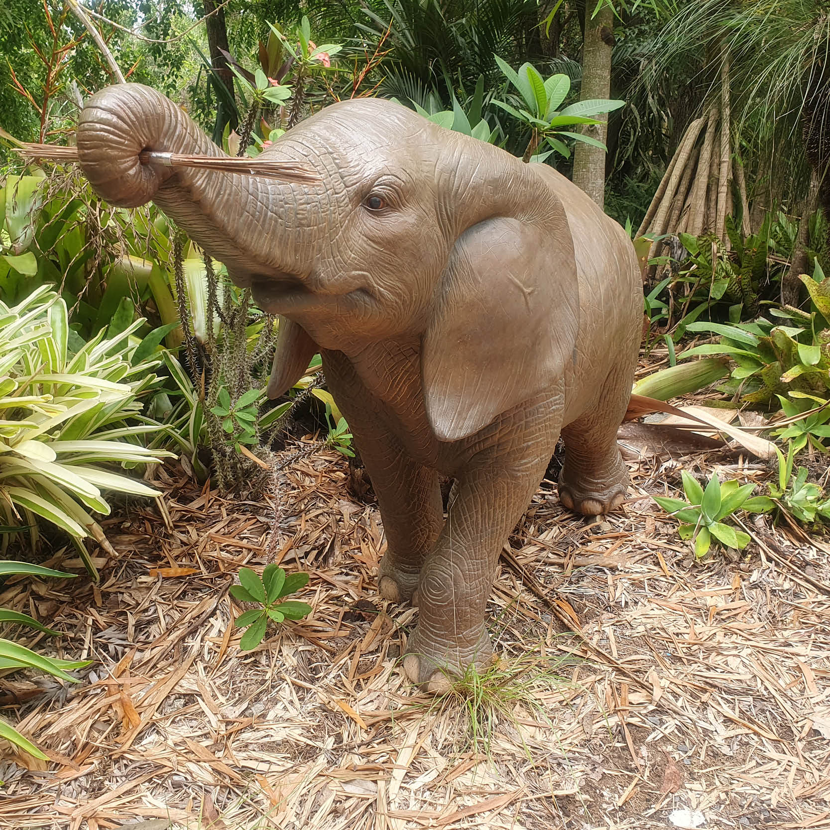 Natureworks Australia Natureworks Elephant Calf Walking with trunk up 240138- front angle view shown in garden