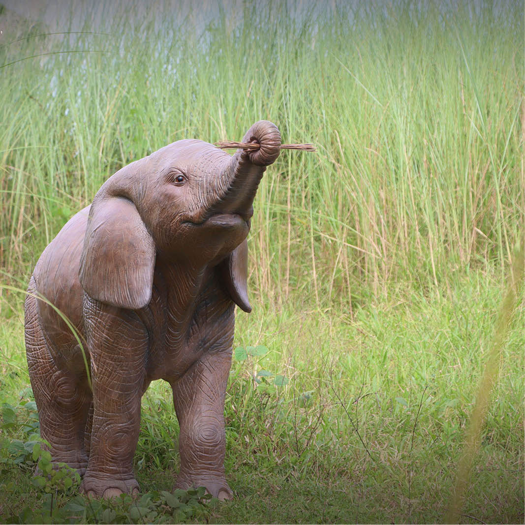 Natureworks Australia Elephant Calf Walking - African - Image 3