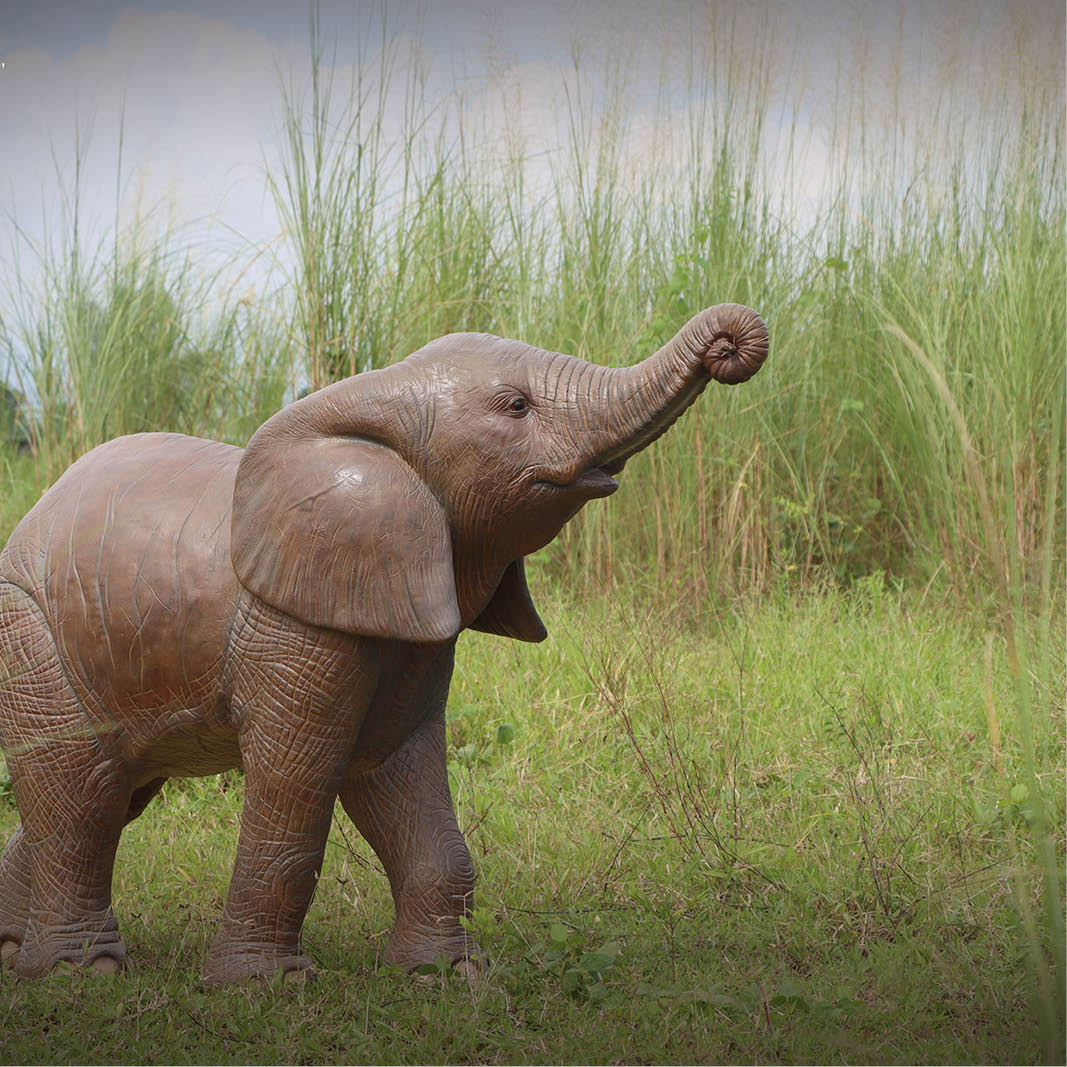 Natureworks Australia Elephant Calf Walking - African - Image 2