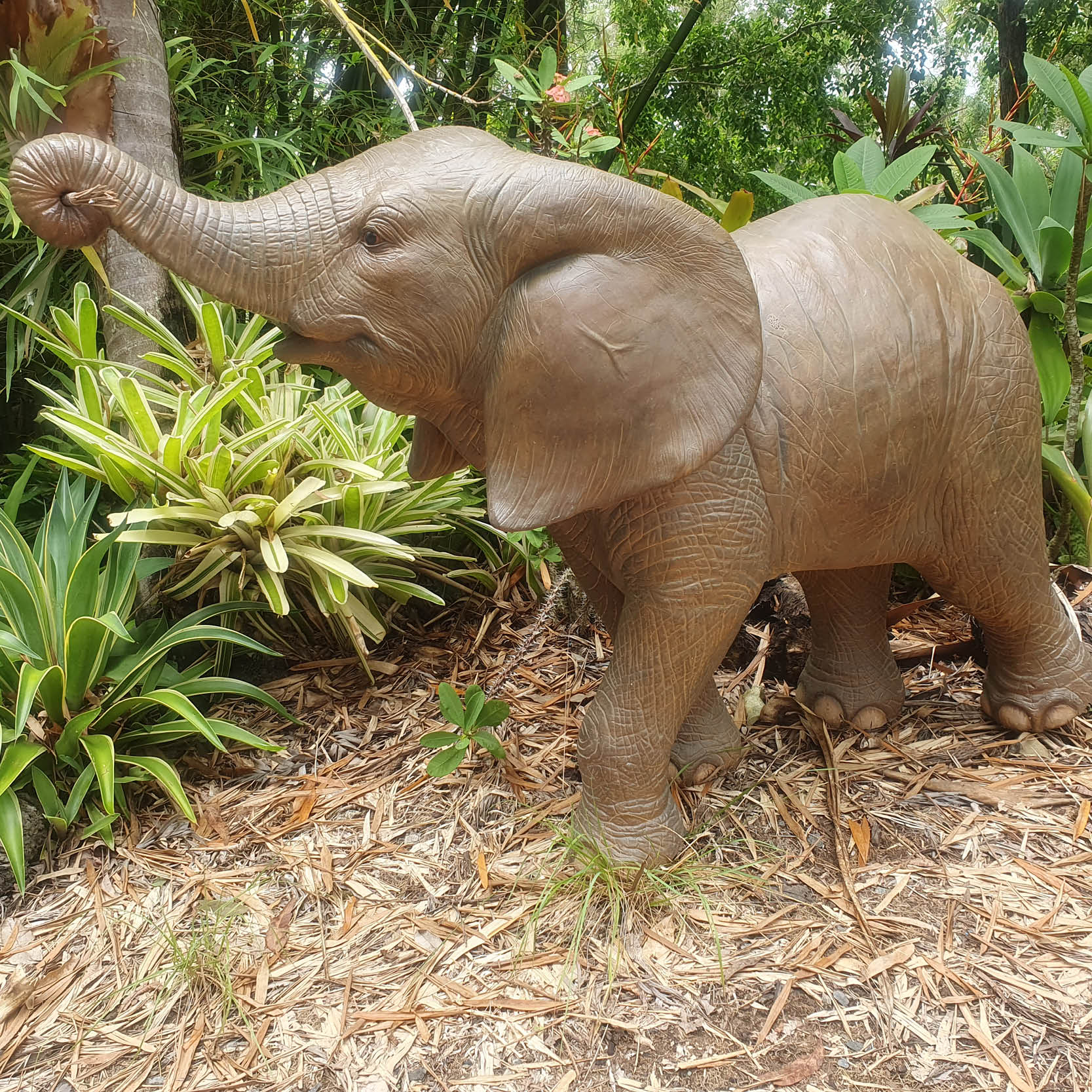 Natureworks Australia Natureworks Elephant Calf Walking with trunk up 240138- side view shown in garden