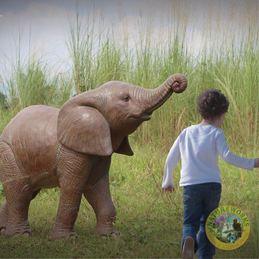 Elephant Calf Walking - African