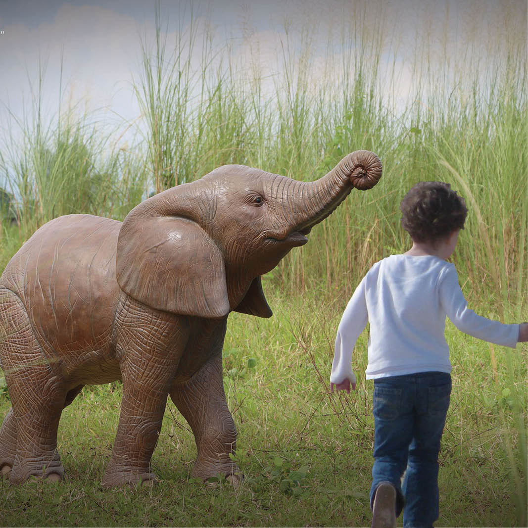 Natureworks Australia Elephant Calf Walking - African