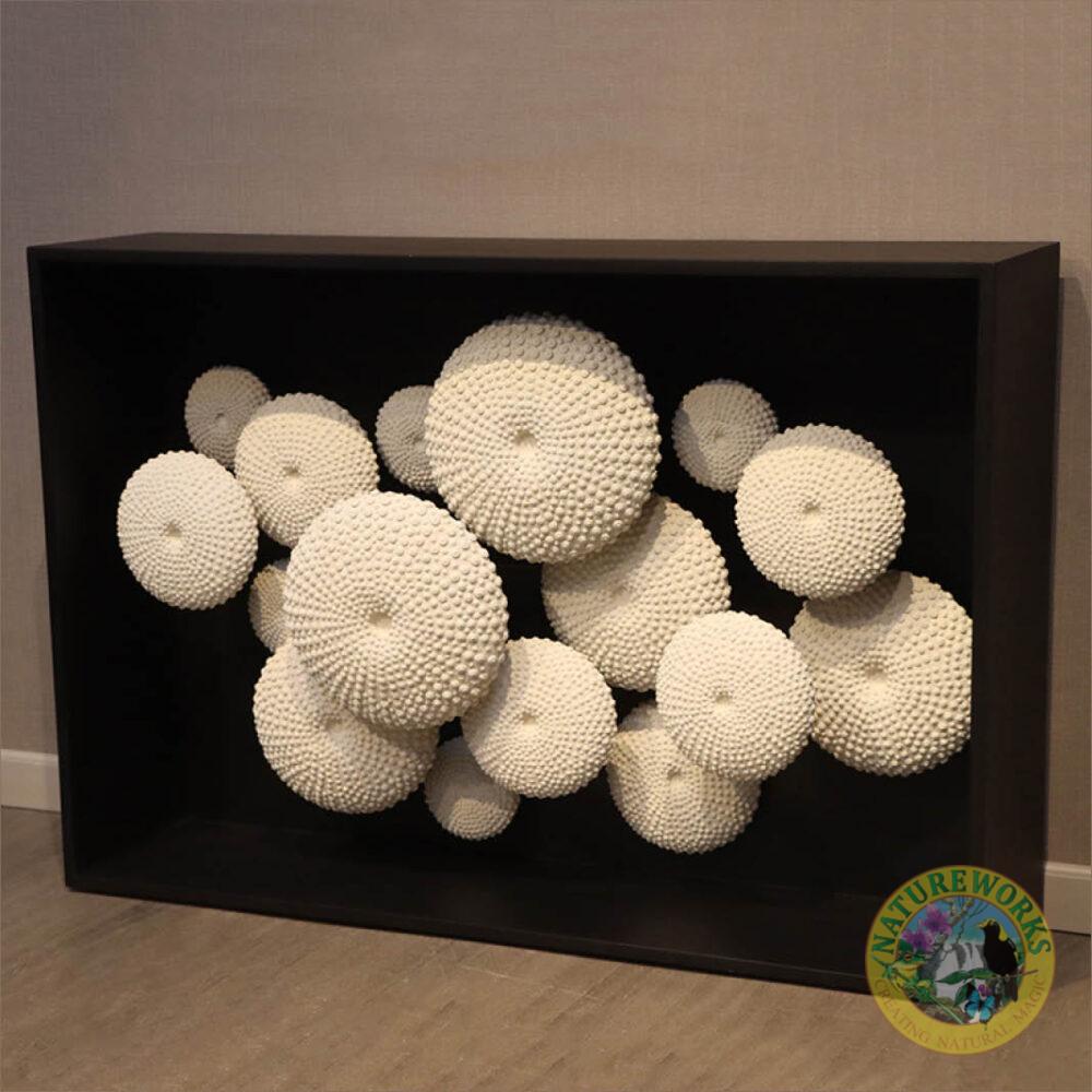 Sea Urchin Console table - matt black wood frame with Whitestone urchin details - 240081