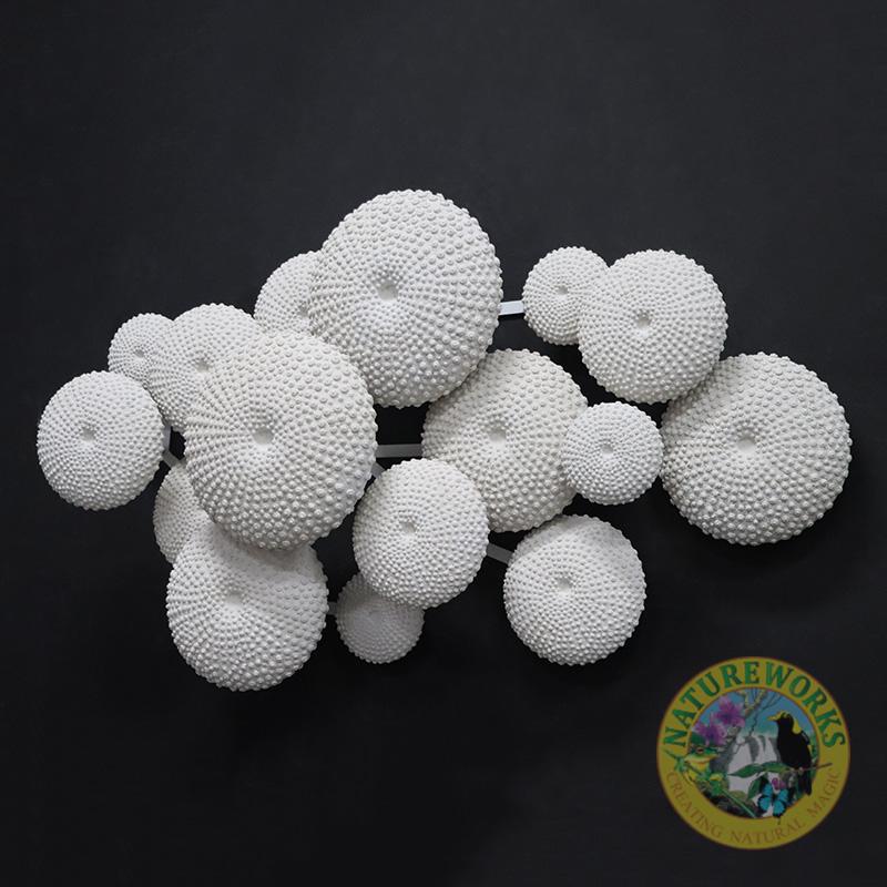Natureworks Australia Sea urchin wall decor -240120-Whiteston -showing front view of collection of 16 individual sea urchins joined together.