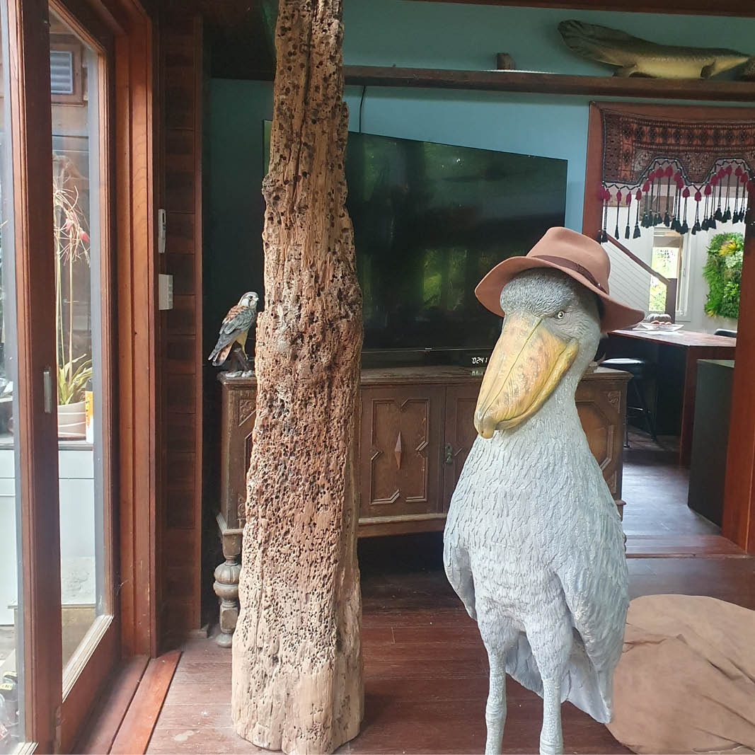 Natureworks Australia Timber wharf pylon - custom fabricated from original authentic shipworm eroded details- shown indoor next to a shoebill statue