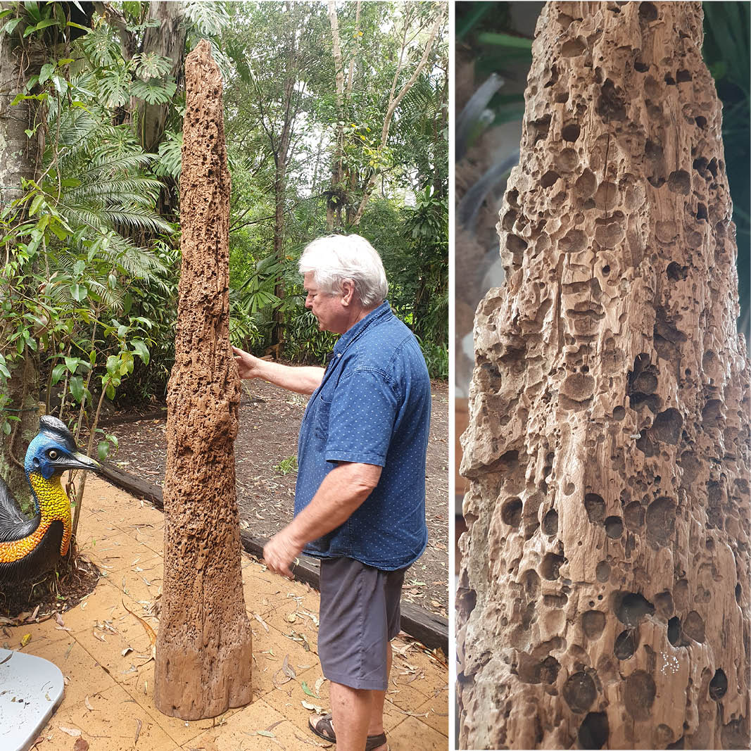 Natureworks Australia Timber wharf pylon - custom fabricated from original authentic shipworm eroded details
