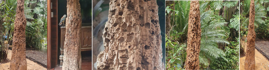 Timber pylon organic sculpture inspired by natural shipworm artistry