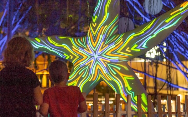 Natureworks Australia Illuminated starfish at cairns Reeflight festival