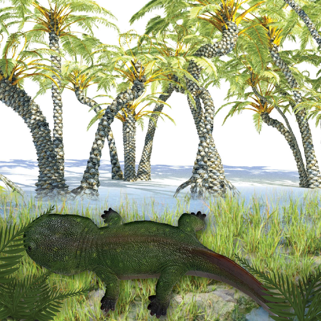 Natureworks Australia Koolasuchus cleelandi - prehistoric amphibian crocodile- V2 top view