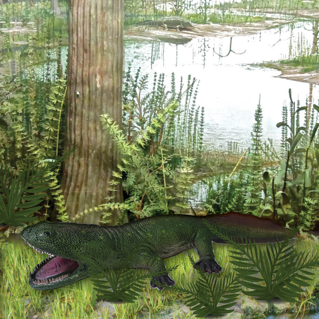 Natureworks Australia Koolasuchus cleelandi - prehistoric amphibian crocodile- V1- angle view