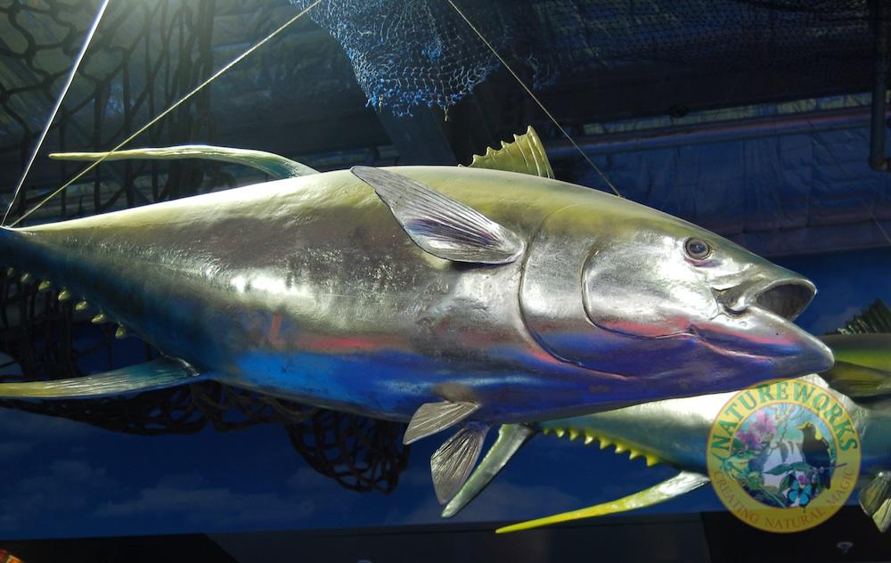 Natureworks Australia Shiny fish sculptures