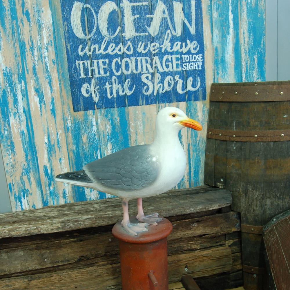Natureworks Australia Seagull on post at marine & pirate mini golf Redcliffe