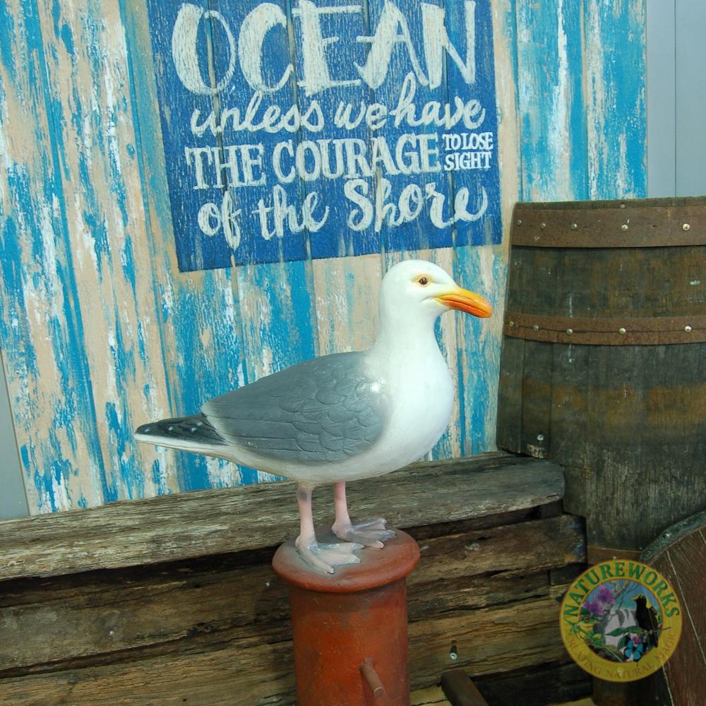 Natureworks Australia Seagull on post at marine & pirate mini golf Redcliffe
