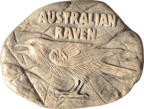 Australian Raven rock stepping paver
