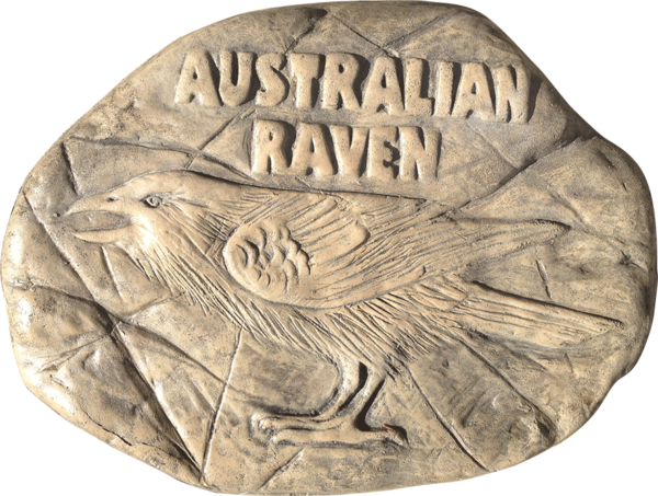 Australian Raven rock stepping paver