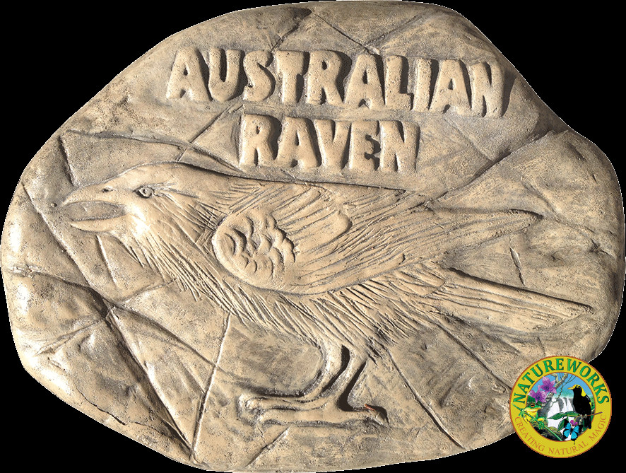 Australian Raven rock stepping paver