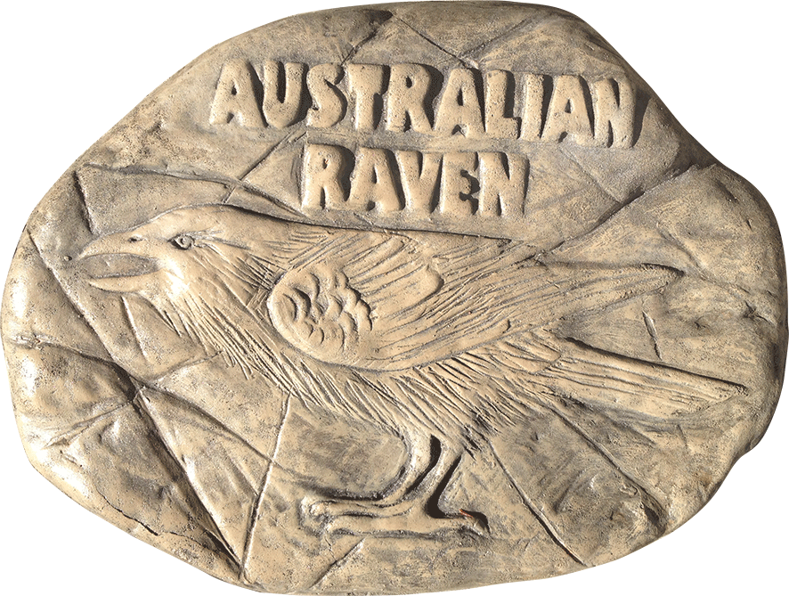 Australian Raven rock stepping paver