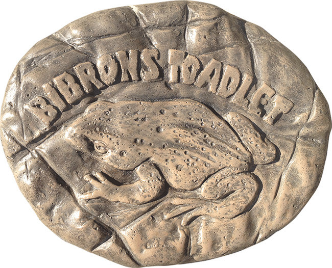 Bibron's Toadlet Rock Stepping Paver