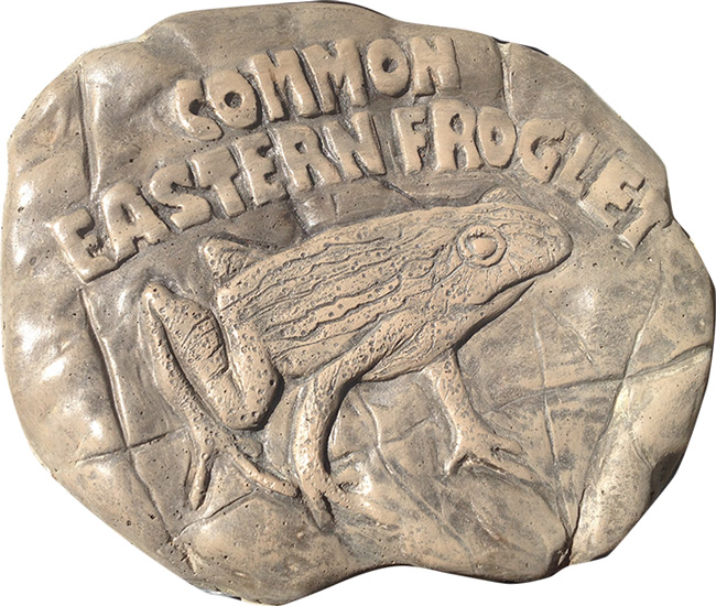 Common Eastern Froglet Rock Stepping Paver