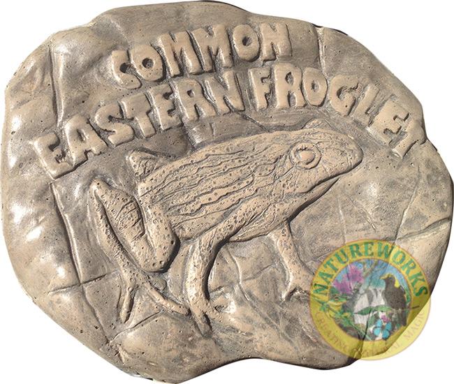 Common Eastern Froglet Rock Stepping Paver