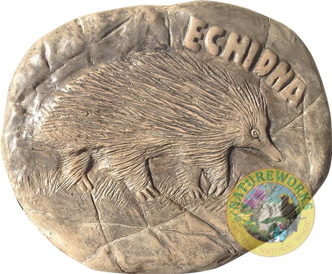 Echidna stepping stone