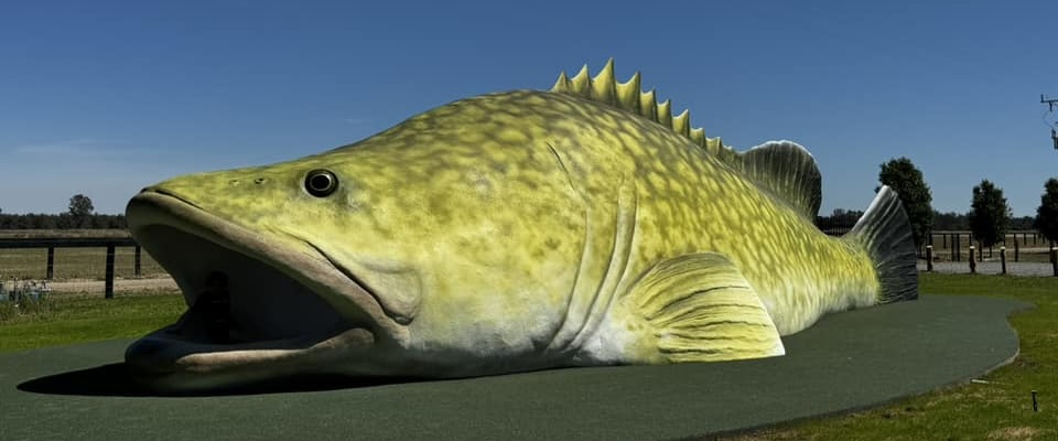Giant Murray Cod - an Australian Big Thing sculpture at Arcadia Fish Hatchery near Shepparton in VIC