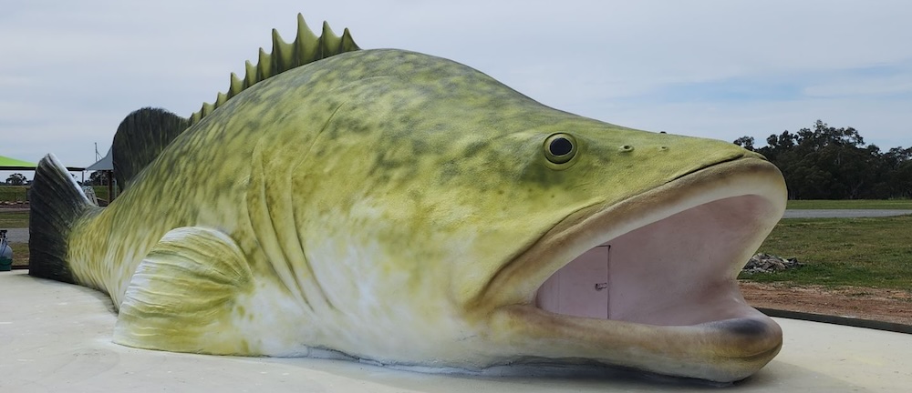 Natureworks Australia Giant Murray cod sculpture
