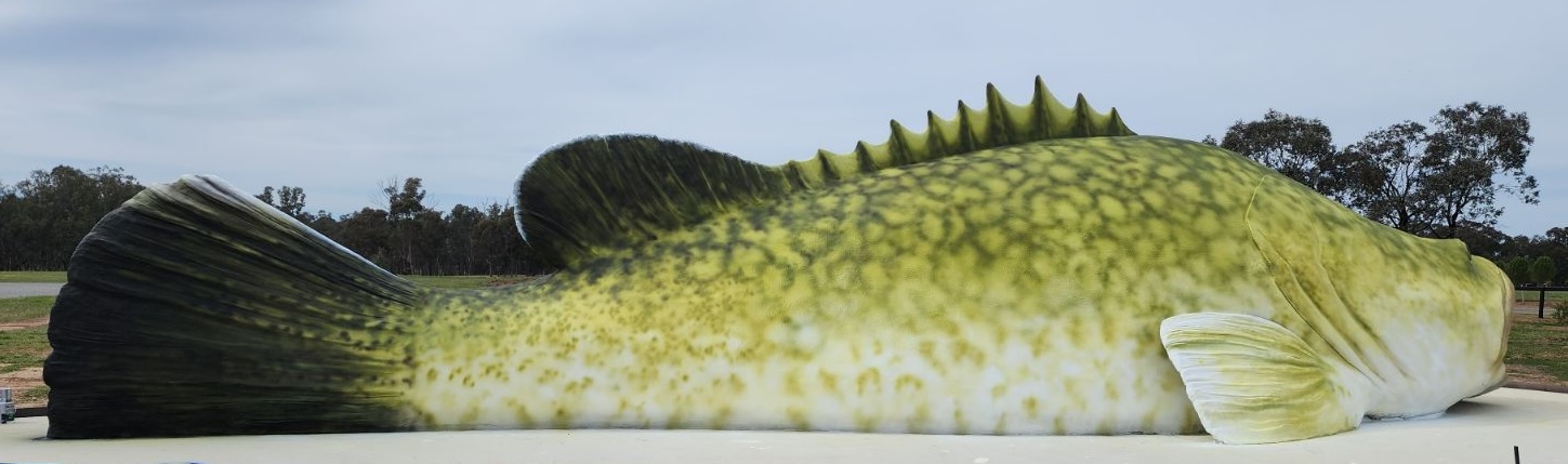 Natureworks Australia Side view of completed cod sculpture