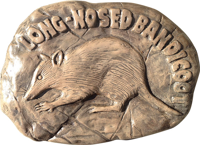 Long Nosed Bandicoot Rock Stepping Paver