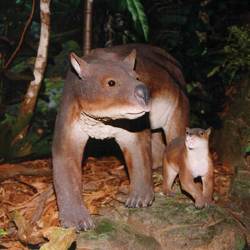 Natureworks Australia Madonna & Child - small diprotodon megafauna animals - set of 2 - V1