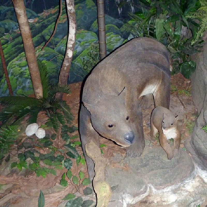 Natureworks Australia Madonna & Child Walking-Small Diprotodons - Image 2