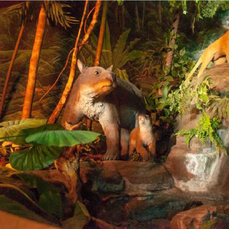 Natureworks Australia Madonna & Child Walking-Small Diprotodons - Image 3