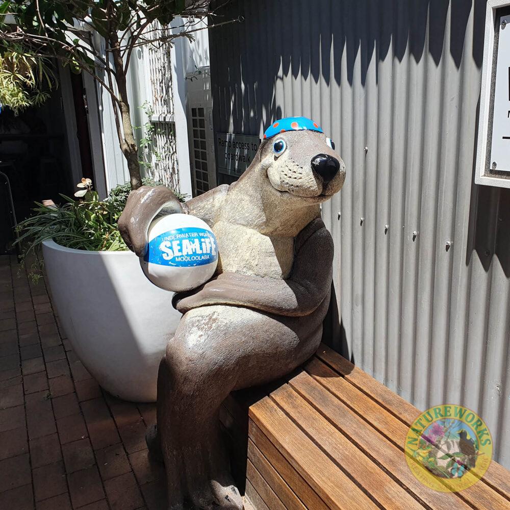 Sitting Seal - Sea Life centre Moolooaba- Custom promotional sculpture- front view