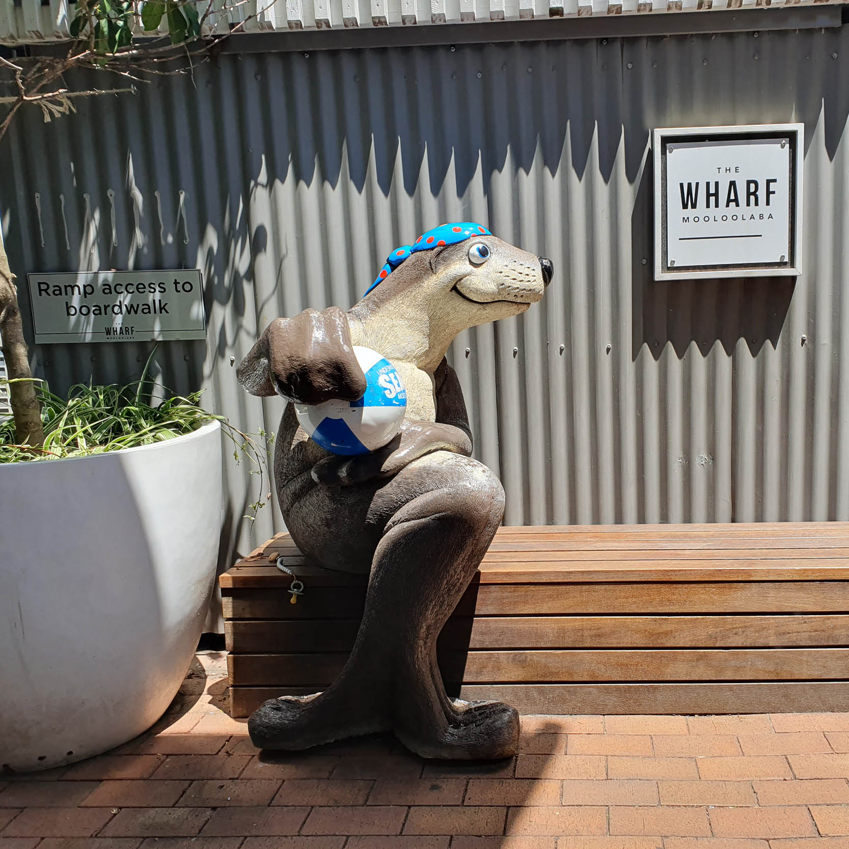 Natureworks Australia Sitting Seal - Sea Life centre Moolooaba- Custom sculpture - showing side view