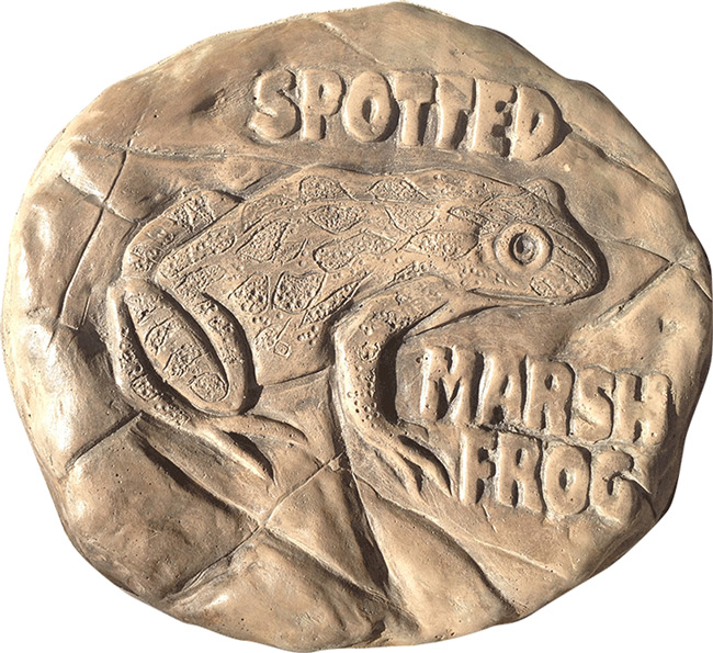 Spotted Marsh Frog Rock Stepping Paver